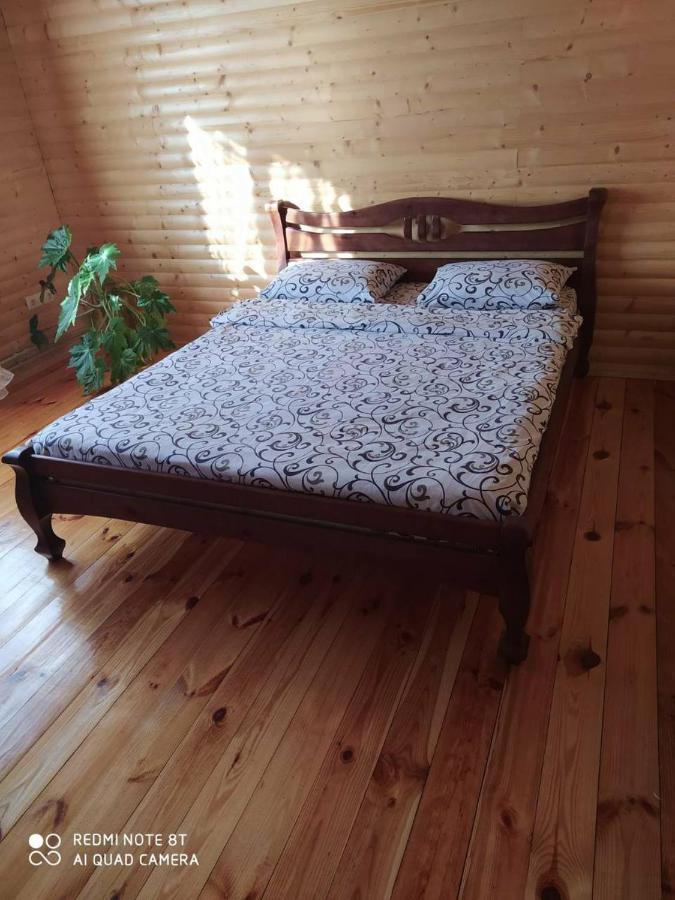 Карпатські Зорі Villa Pilipets Ngoại thất bức ảnh