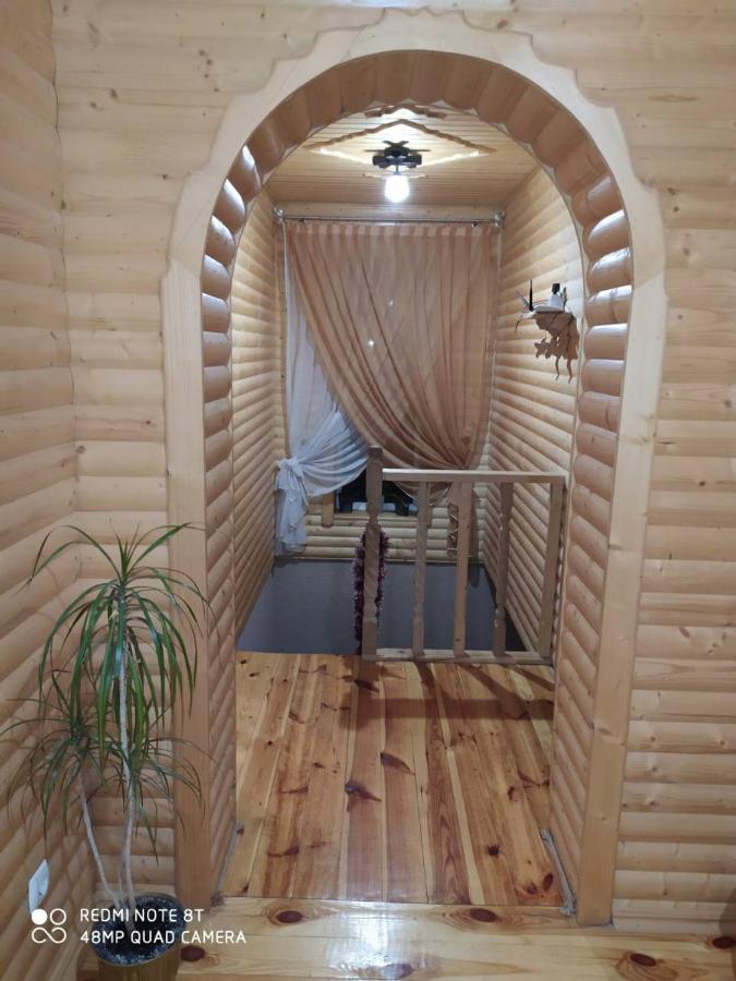 Карпатські Зорі Villa Pilipets Ngoại thất bức ảnh